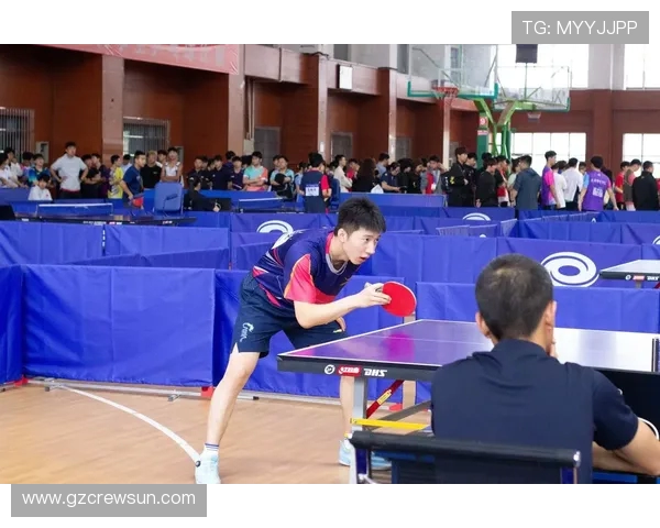 成都乒乓球队状态对比深度解析及未来发展趋势展望