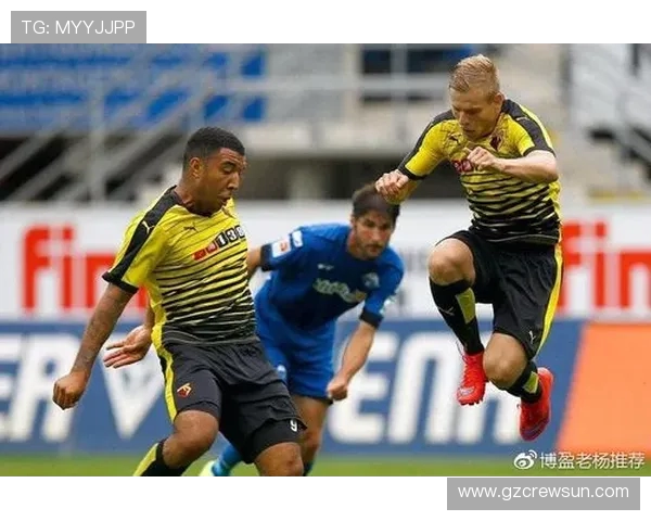 埃弗顿与沃特福德对决前瞻分析及比赛结果预测